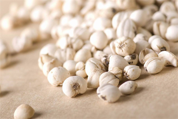 綠生藥業(yè) 專注天然養(yǎng)身，科技賦能保健食品新未來(lái)