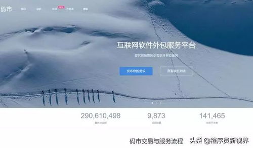 碼市平臺(tái)接單指南 CSDN軟件開(kāi)發(fā)者的高效變現(xiàn)路徑